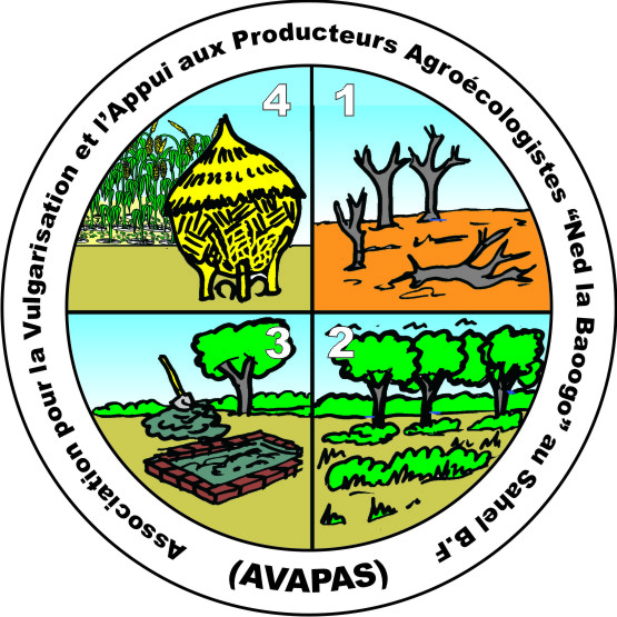 Logo AVAPAS